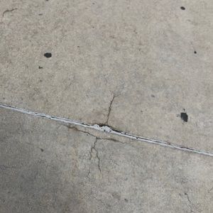 Meet your Posher, Adria